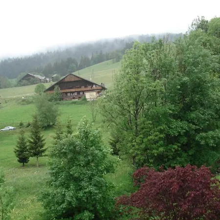 Apartmán - 5 Pers, Proche Pistes, Animaux Acceptes - Fr-1-676-176 *